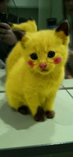 №84, Дарья Кужахметова, Киржач №84, Дарья Кужахметова, Киржач