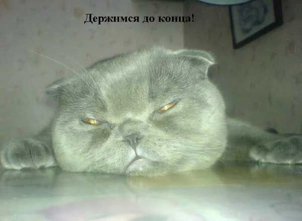 Борис Воробьев | Санкт-Петербург