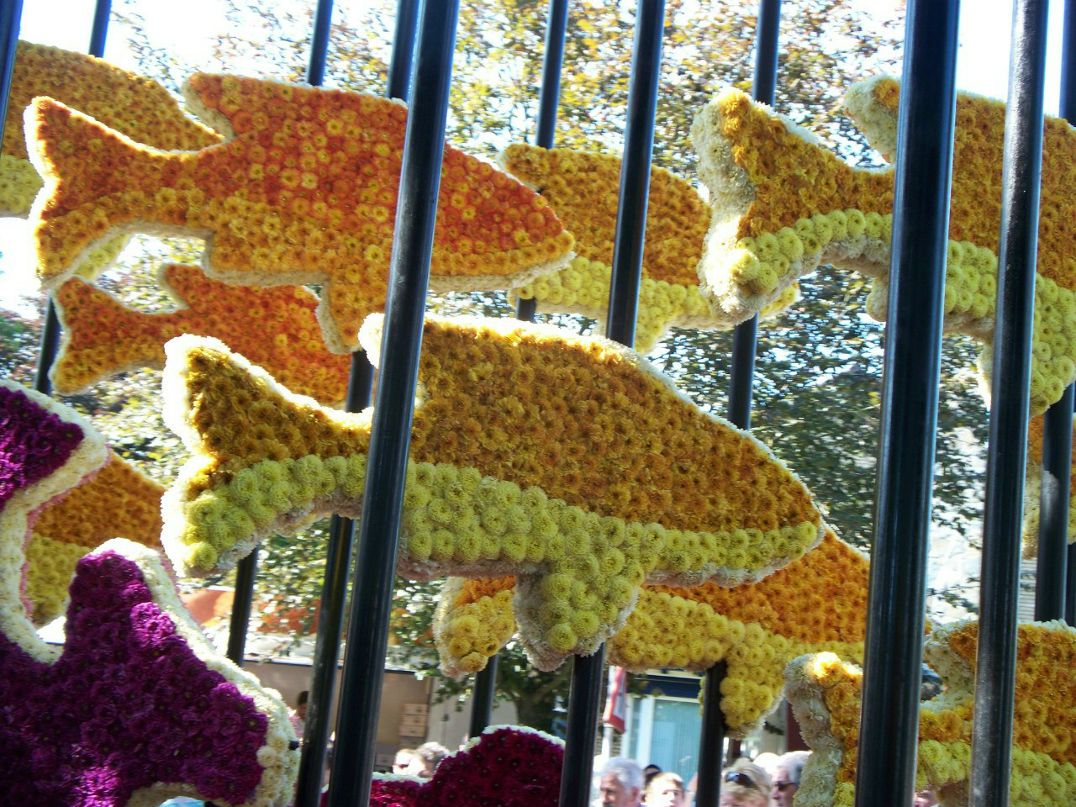 Марина Князева | Москва