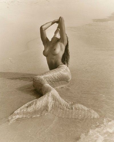 Марина Колчеева | 