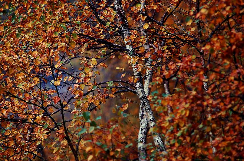 Юлия Менжулова | Таганрог