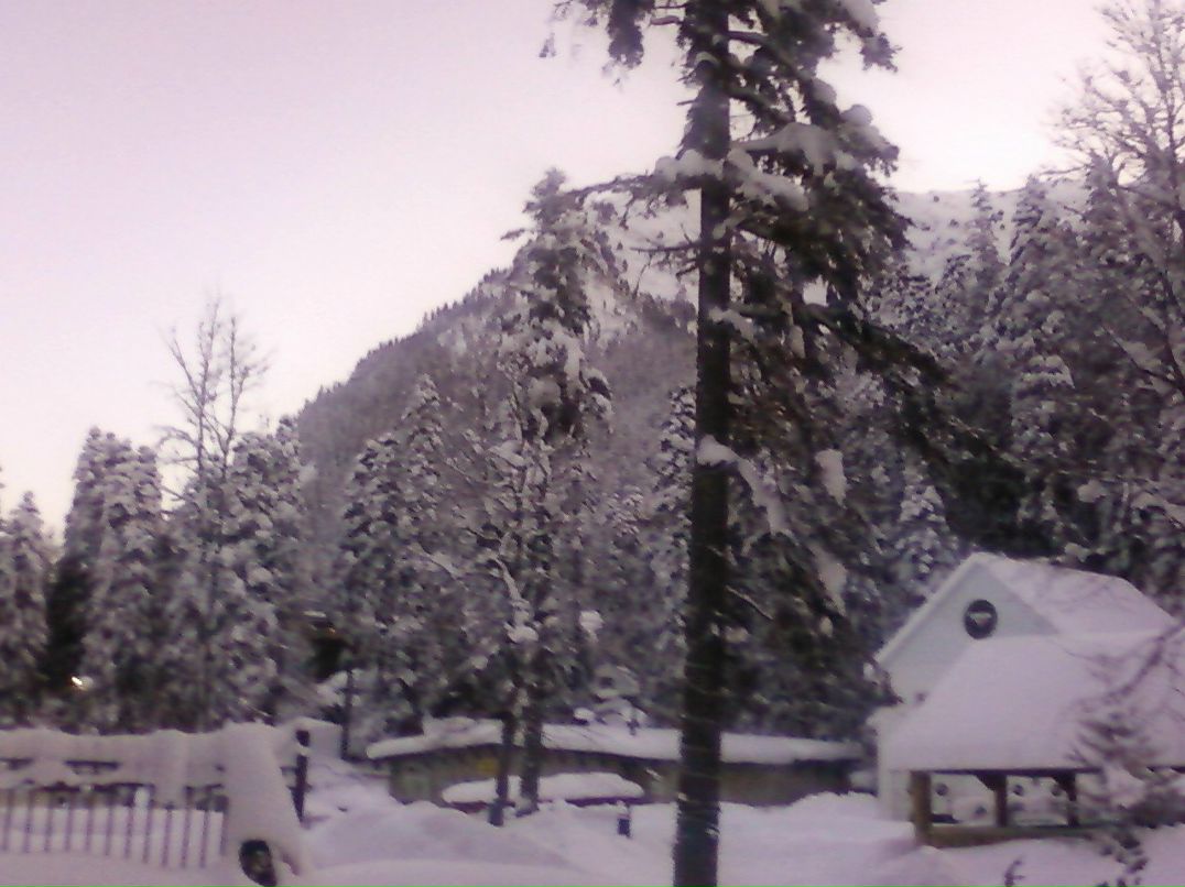 Елена Топчаева | Таганрог