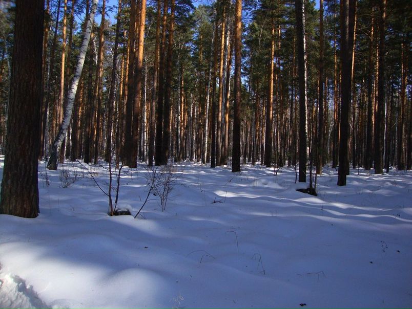 №100, Василий Язовских, Сысерть №100, Василий Язовских, Сысерть