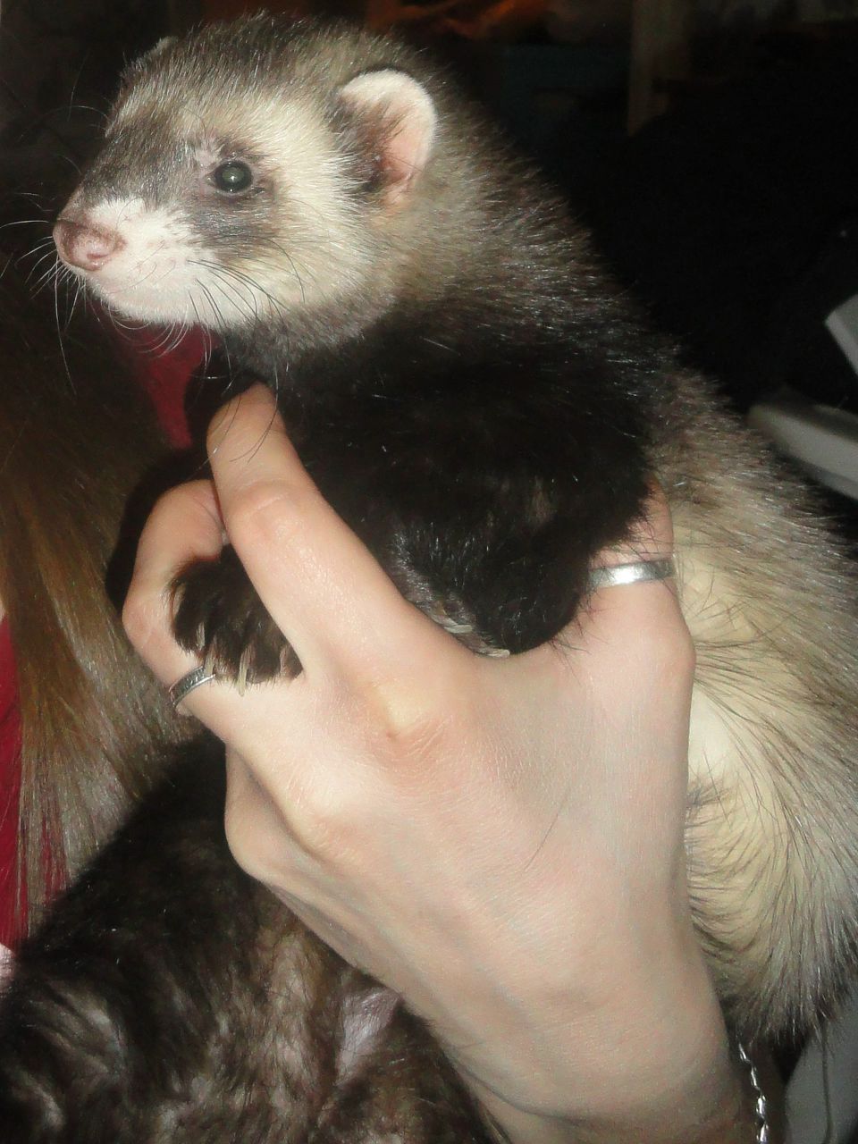 Маришка Городецкая BeL'4oNok | Бузулук