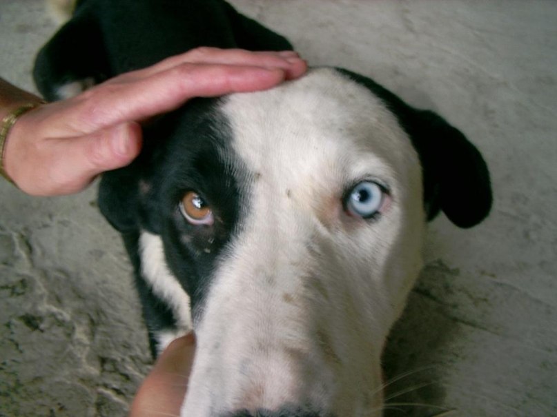 Алексей Гончаров | Тольятти