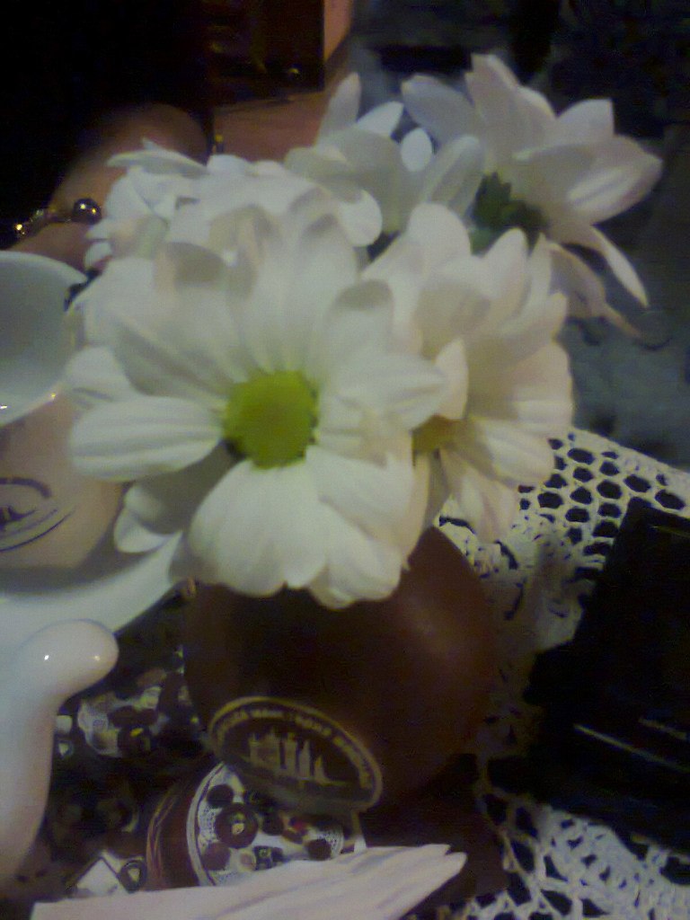 Елена Довгуля | 