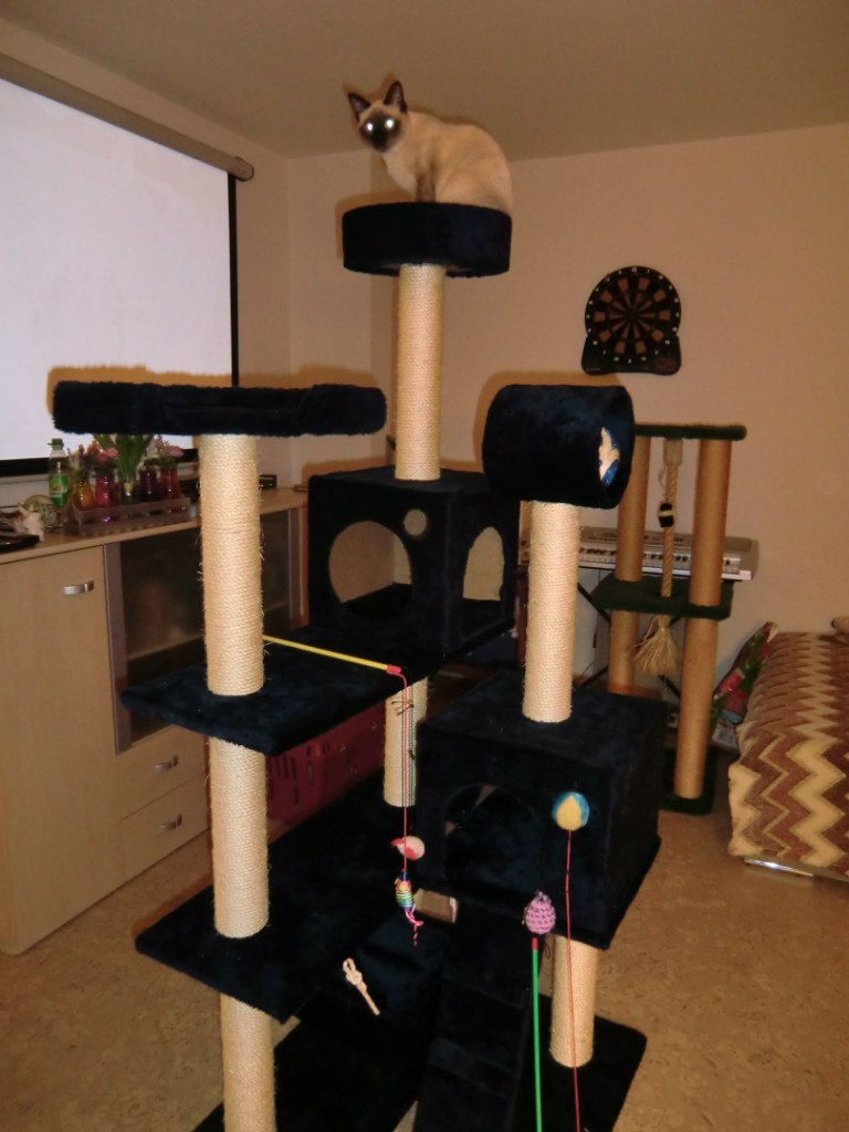 Аня Капплер *~ani-ko~* | Киев