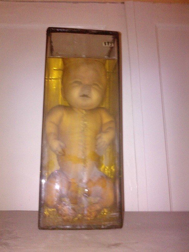 Елена Семёнова ღ♥LEXSIღ♥ | Санкт-Петербург