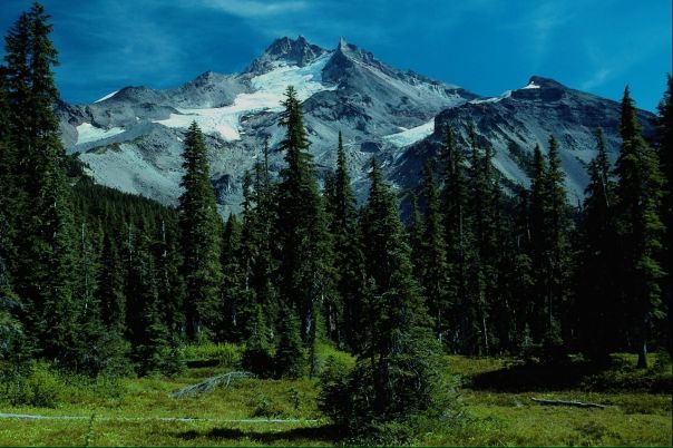 №4, Антон Никитин, 40 лет №4, Антон Никитин, 40 лет