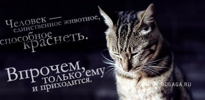 №129, Анна Жарикова, Людиново №129, Анна Жарикова, Людиново