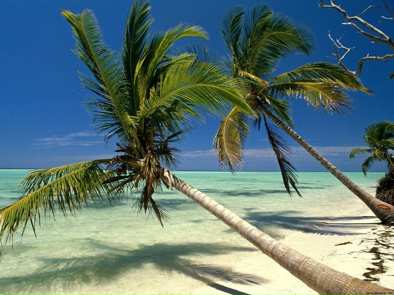 №76, Мария Смирнова, Roma №76, Мария Смирнова, Roma