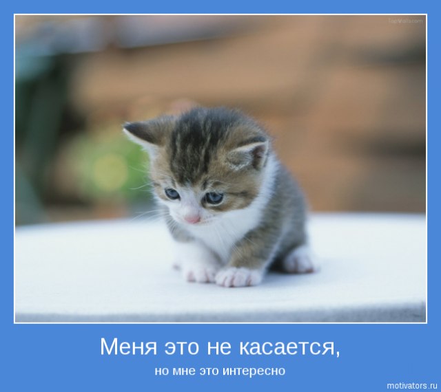 Андрей Крепак | 