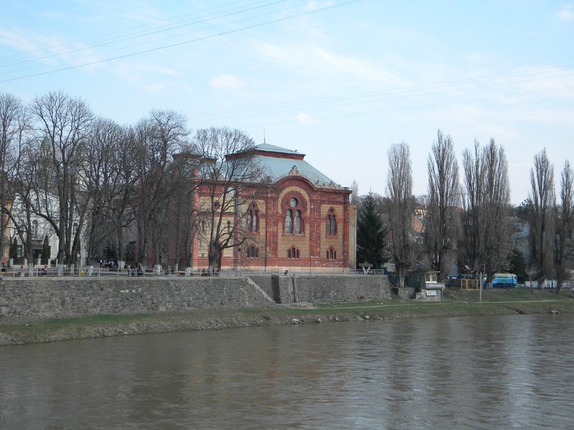 Людмила Галушка | Киев