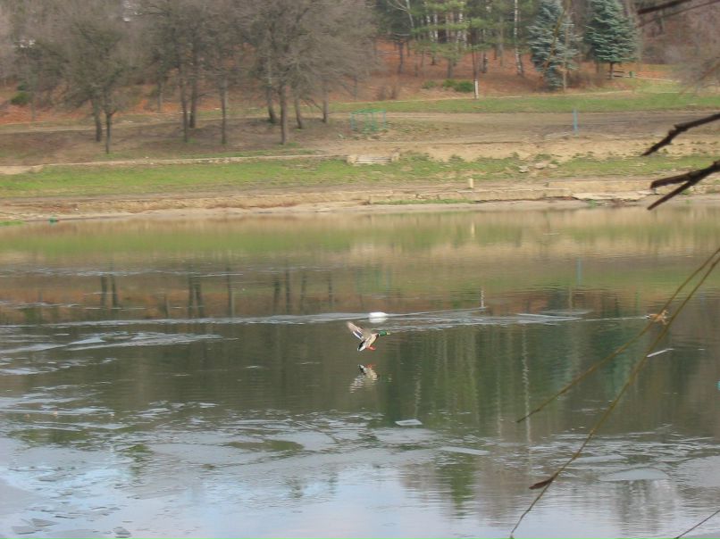 Александр Максимов | Кишинев
