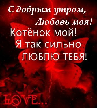 №41, Олександр Марченко, Киев №41, Олександр Марченко, Киев