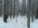 Алексей Дорожкин фотография #8