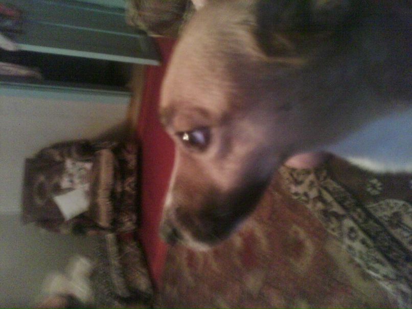 Анастасия Лоцман | Качканар