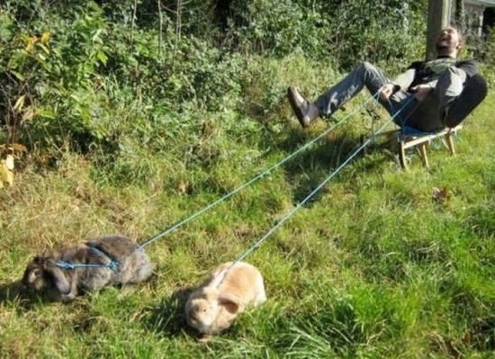 Богдан Дончук | Полонное