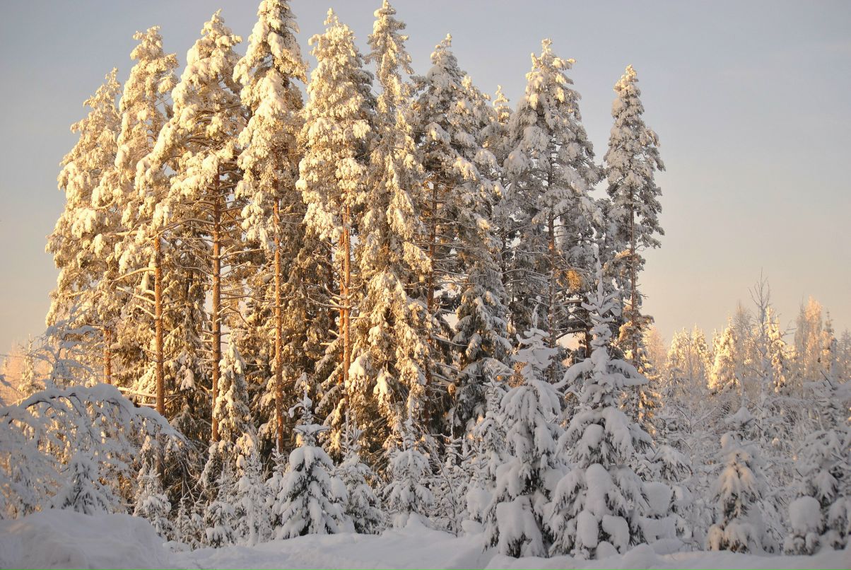 Ася Шторм | Санкт-Петербург