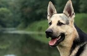 Денис Атанбаев | Уфа