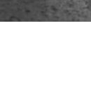 №73, Лильмо Хайбех, Луганск №73, Лильмо Хайбех, Луганск