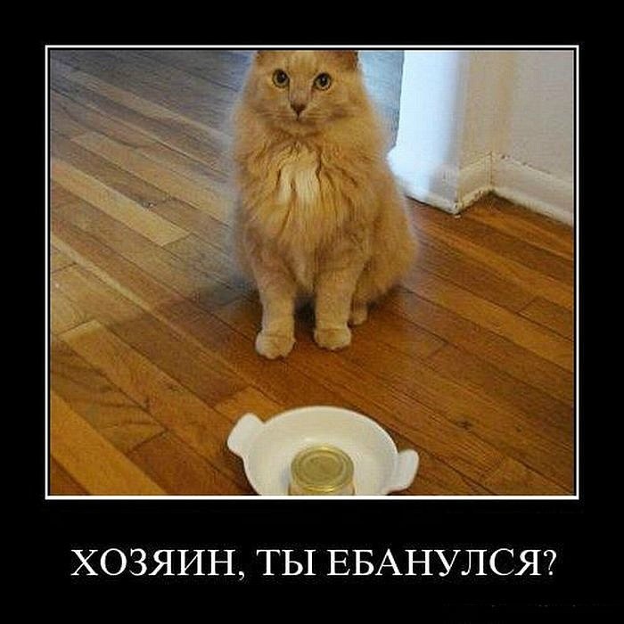 Александр Лукишко | Нягань