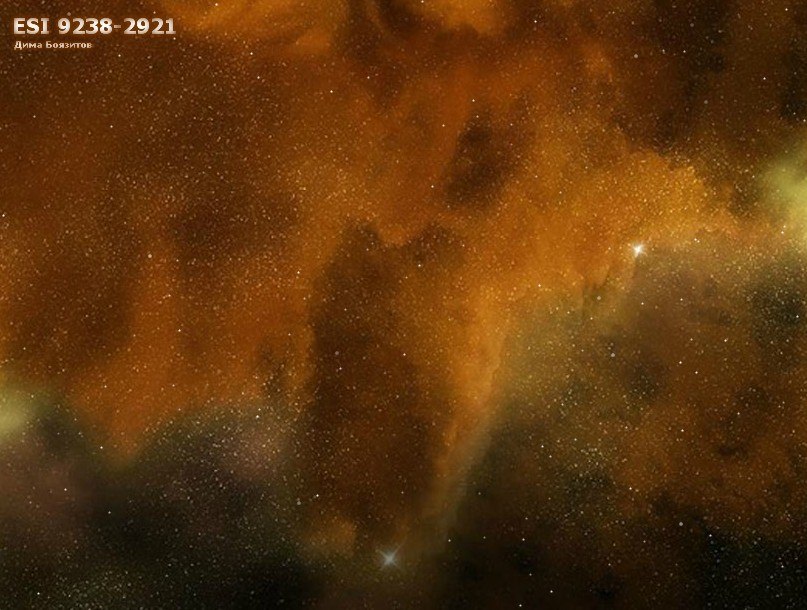 Анна Тодоренко | Архангельск