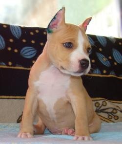 №3, Алина Нурбергенова, 39 лет, Актау №3, Алина Нурбергенова, 39 лет, Актау