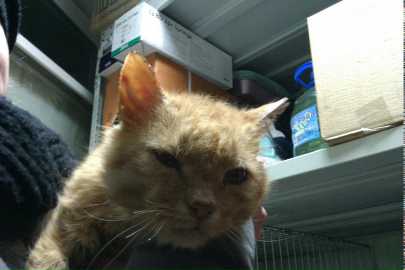 Денис Ларин | Тула