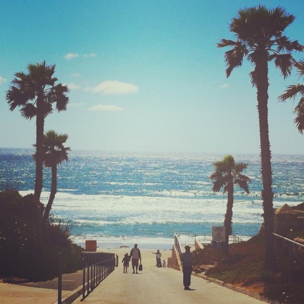 Андрей Гадаев | Ярославль