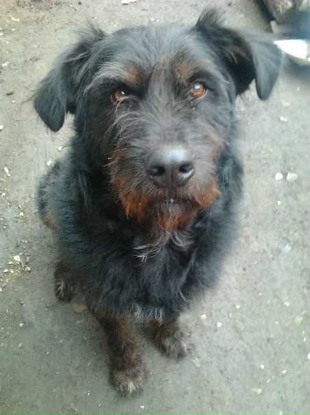 №15, Агния Нелюбина №15, Агния Нелюбина