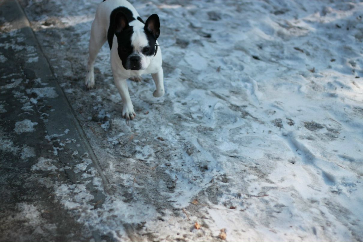 Иван Наумов | Тюмень