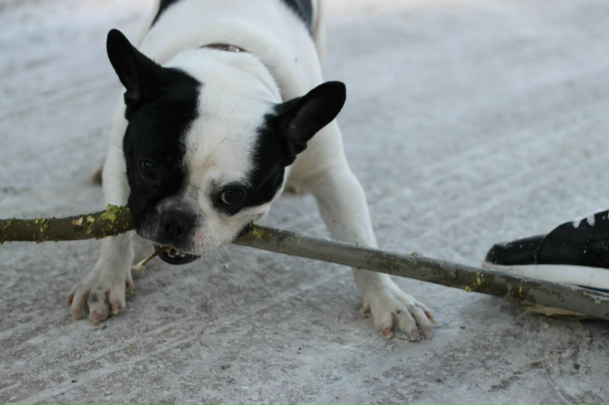 Иван Наумов | Тюмень