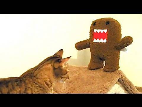 Mean Kitty VS Domo