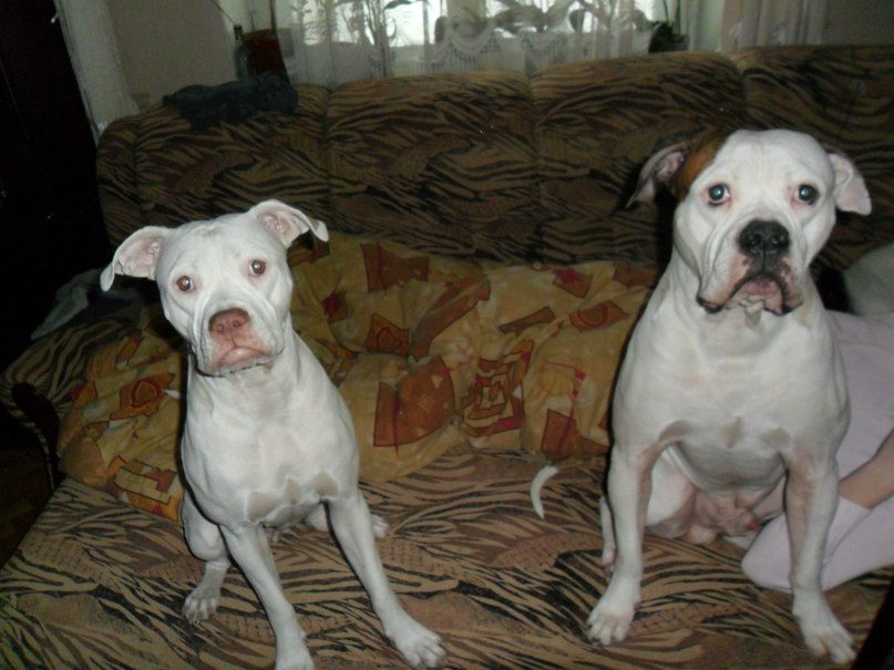 Жека Раджабов | Киев