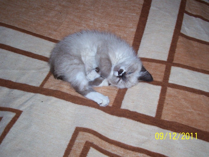 Галина Илларионова | Нижний Новгород