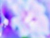 Ольга Корженевская | Кемерово