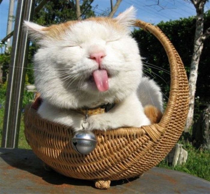 Аня Малахова | Минск