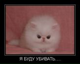 №23 Анна Новикова 29.08: профиль, фото, статус - ВКонтакте №23 Анна Новикова 29.08: профиль, фото, статус - ВКонтакте