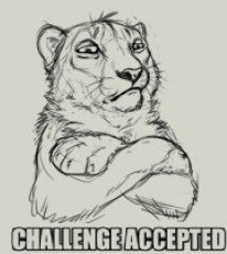 Владимир Матвеев | Чебоксары