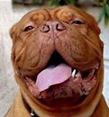 Фотография Меркеля Андрея