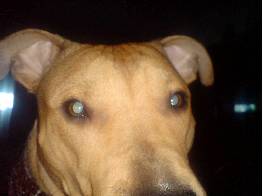 Михаил Костенко | Харьков