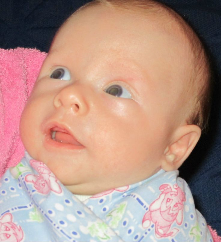 Александр Городнов | Бор