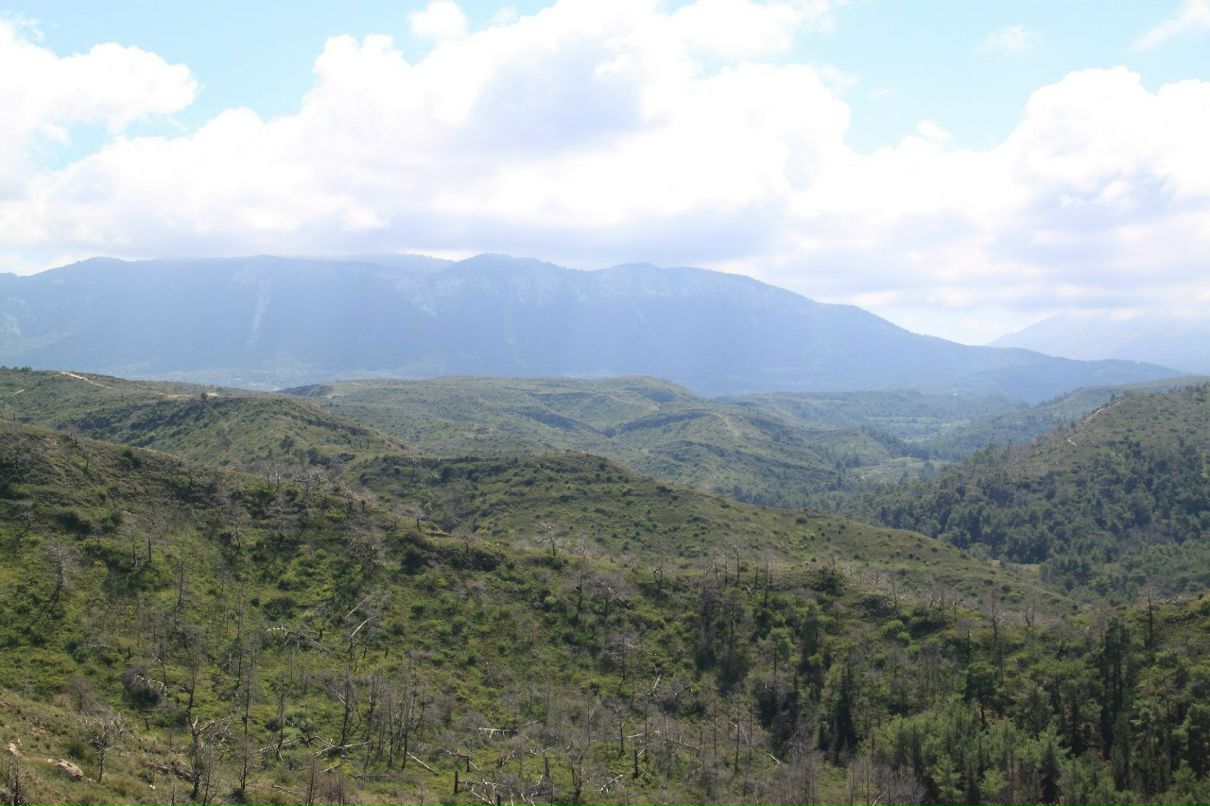 Ronald Shipitsyn | Беэр Шева