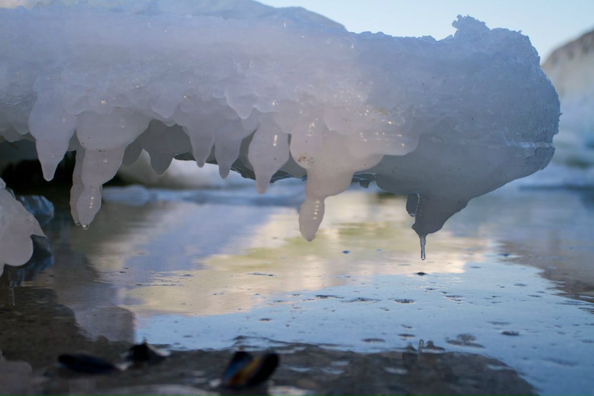 Коля Чабан | Одесса