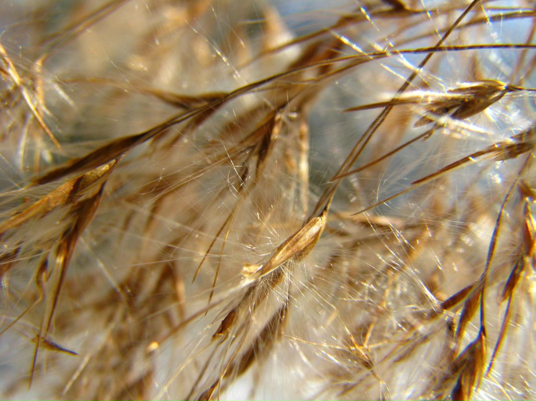 Шура Лавриненков | Люберцы