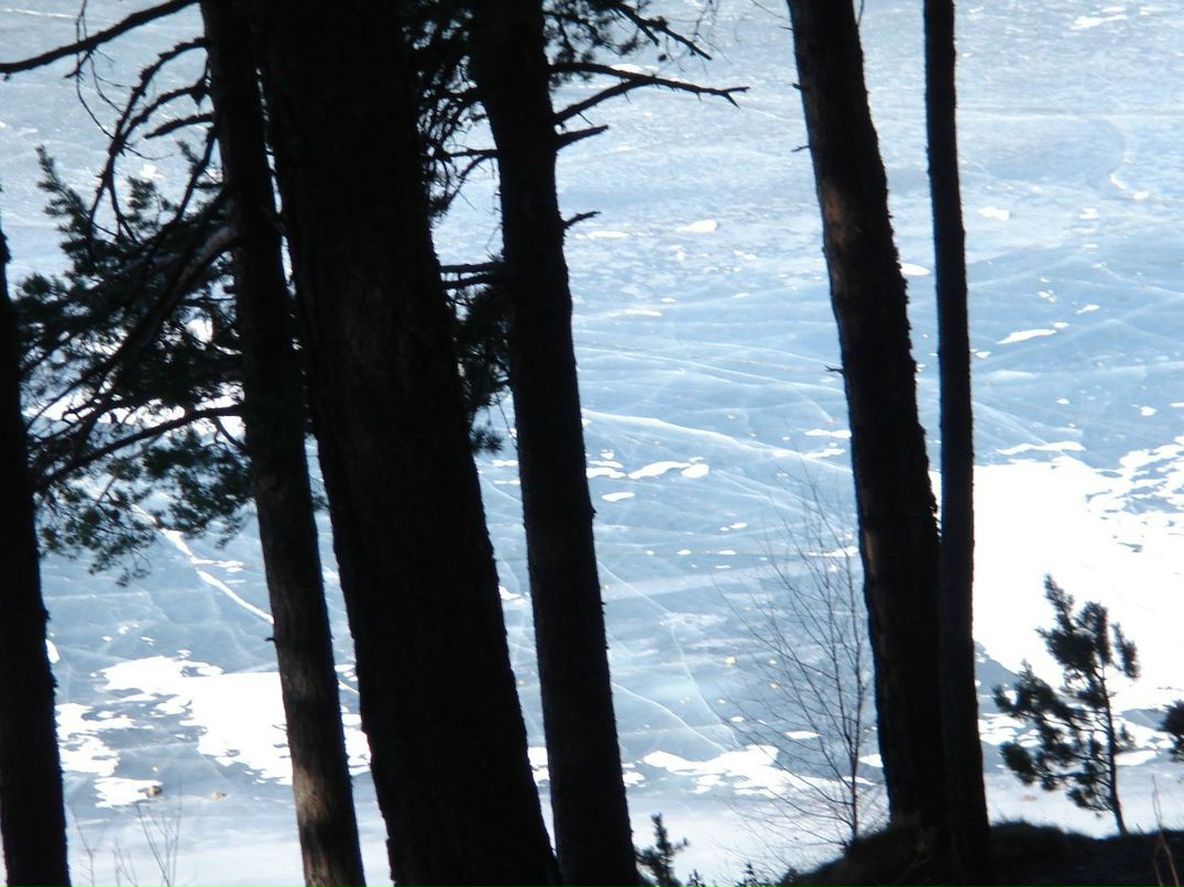 Елена Бондаренко | Киев