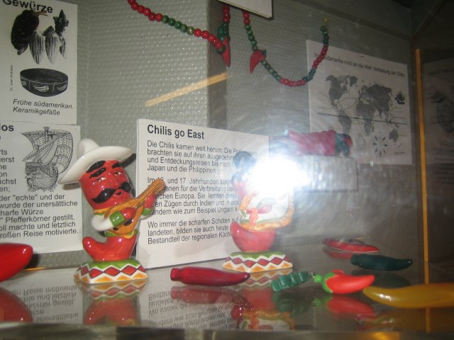 Елена Соломонова | Санкт-Петербург