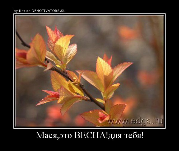 Диана Шайн | Казань