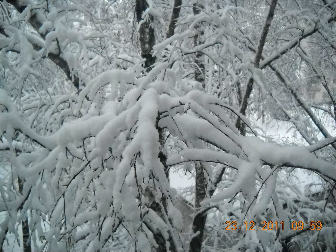 Юрий Бурыкин | Брянск